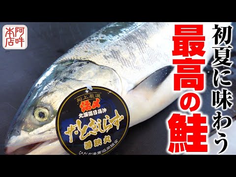 時鮭 プロフィール見てください 極上の時鮭（ときしらず）を捌く！ - YouTube