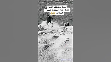 لقدخلقناالانسان فى كبد بصوت الشيخ ممدوح عبدالستار #قران_كريم @quran635 #prismlivestudio #تلاوات
