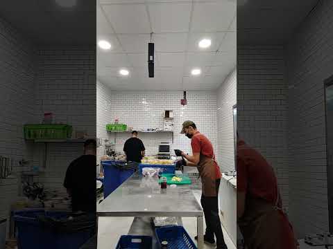 حب ما تعمل علشان تعمل ما تحب لا يا باشا انا بقي عايز واحده احبها حبو انتو عملكو
