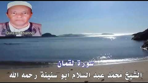 سورة لقمان أبو سنينة برواية قالون