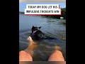 Funniest animals ever