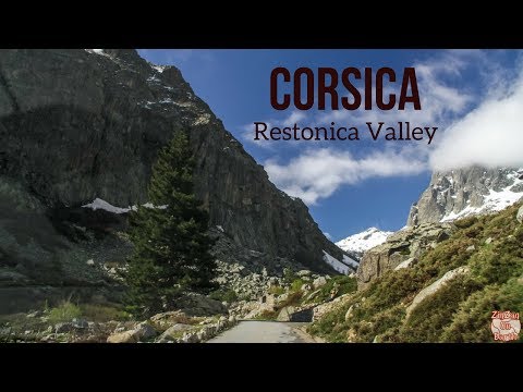 Driving the Restonica Valley Corsica