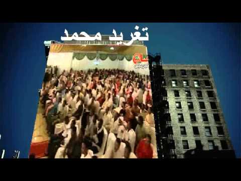 جمال فرفور بساط الريح