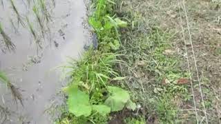 水管理20200630