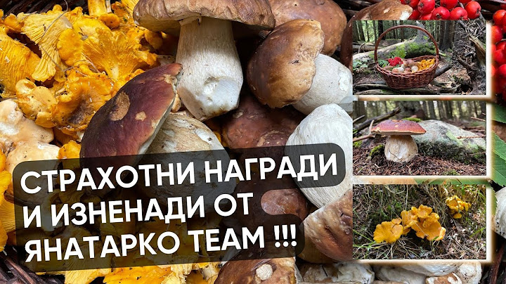 Васко Лягушка и Янко Манатарка разыгрывают для вас отличные призы и сюрпризы!!!