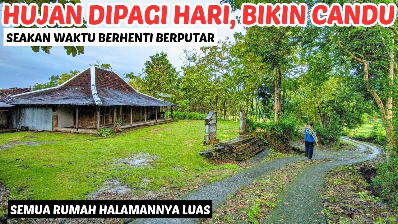 Syahdu ‼️ Suasana Desa pagi hari Pada saat Hujan | Kesederhanaan dan Indahnya Wonogiri