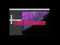 QuPath: Cell Detection