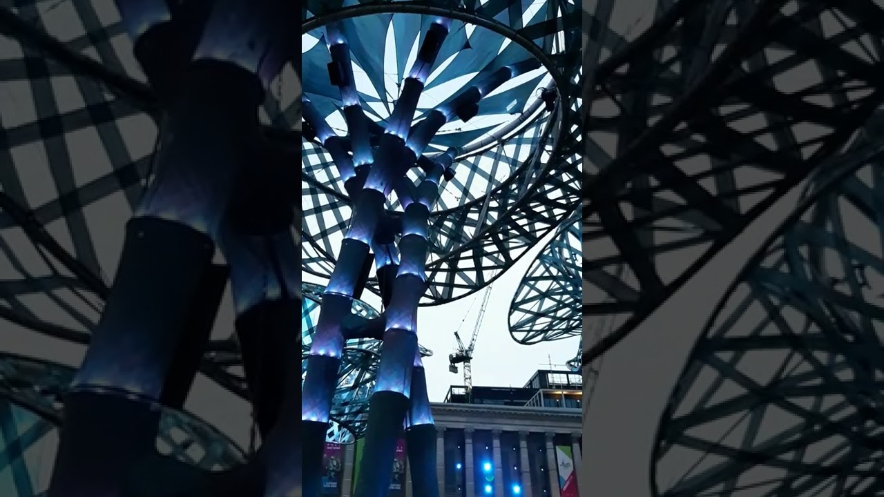 Polination Birmingham City