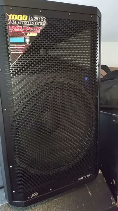 Peavey DM 115 15' 1000w Active PA Speakers Digital DSP DM115