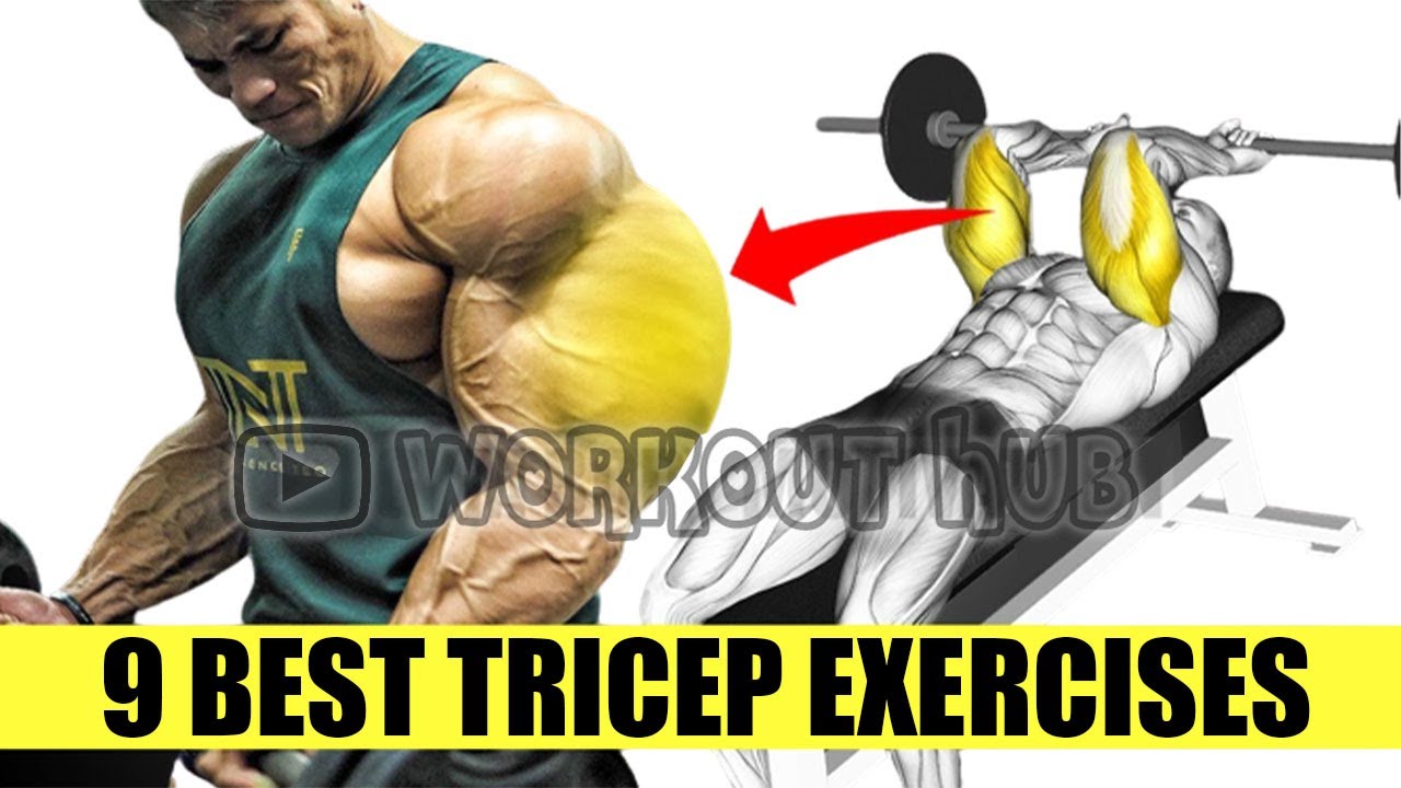 Triceps Workout 9 exercises to make your arms Big and perfect YouTube