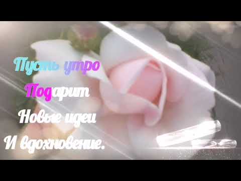 Пожелание Доброго утра🌺С Добрым утром! Good morning!