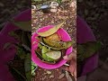 Make Nutrient Rich Compost Using Kitchen Waste