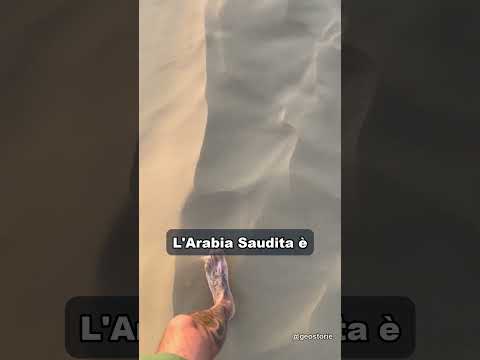 Video Il 1° produttore di petrolio al mondo non è l'Arabia Saudita ?
