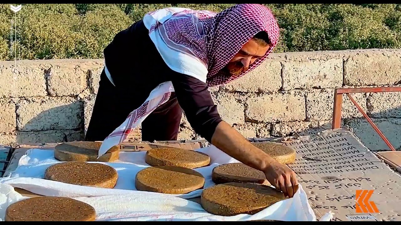 رغم تحديات التغير المناخي والجفاف، مزارعو التين في جبل سنجار يستمرون في العمل وسط نقص المياه