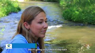 Monitoring fish in Santa Clara County