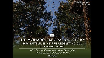The Monarch Migration Story: How Butterflies Help Us Understand Our Changing World