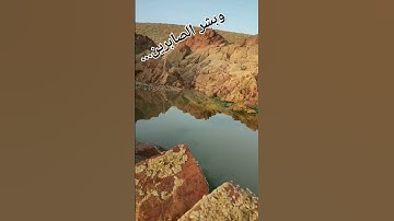 وبشر الصابرين #تلاوة_القرآن #تلاوة_خاشعة #سورة_البقرة #اسلام_صبحي #اكسبلور