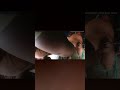 "I see the red light!" Man's delusional police struggle!