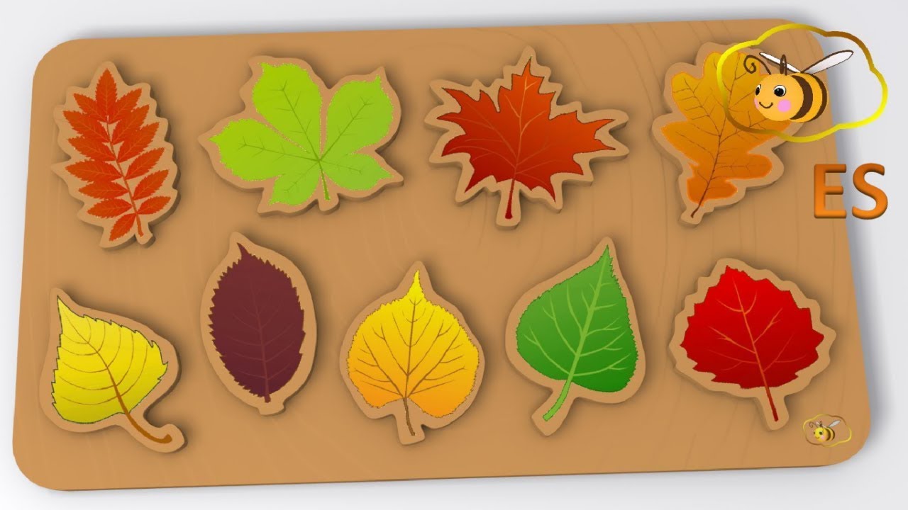 Los árboles para niños. Rompecabezas con hojas de otoño. Dibujo animado  para bebés en español - YouTube
