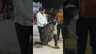 ZEZARA RAMAMANDAL ‼️ભેરવો☠️‼️ bhervo💀mulada Nejadharu ramamandal#ramamandal hadamtala ramamandar666