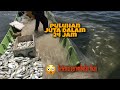 Fishing Indonesia: dapat puluhan juta/ hari, jaring ikan kembung , bakar ikan hasil tangkapan.