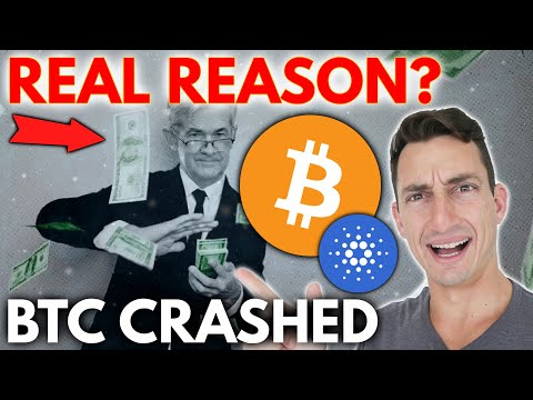 CRYPTO FUD AND BITCOIN CRASHING! Real Reasons Why Bitcoin Crashed and Why It Will Happen Again Episode cover