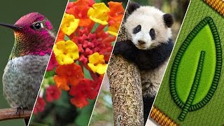 4 Fun Ways to Celebrate Earth Day