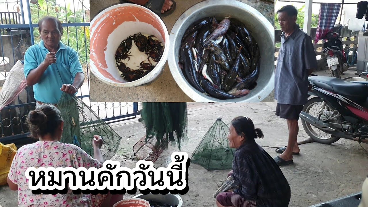 ทำสถิติหมานคักวันนี้ ปลาบู่ 4โล กุ้ง หอย ปลา ปู