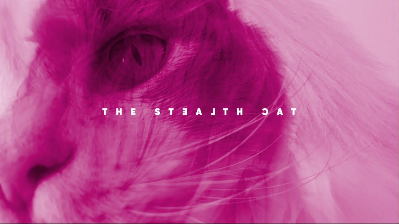 doktorhokashi featuring erik sumo - The Stealth Cat  (ステルスキャット) [official video]