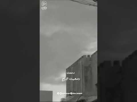 وفي ليله سرحت في الي راح حمزه نمره