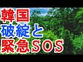 韓国　破綻と　緊急SOS
