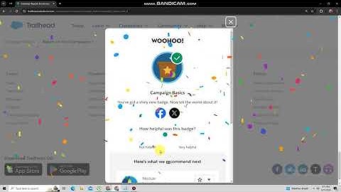 Meet Salesforce Campaigns | Campaign Basics | QUIZ SOLUTION COMPLETE 4/4