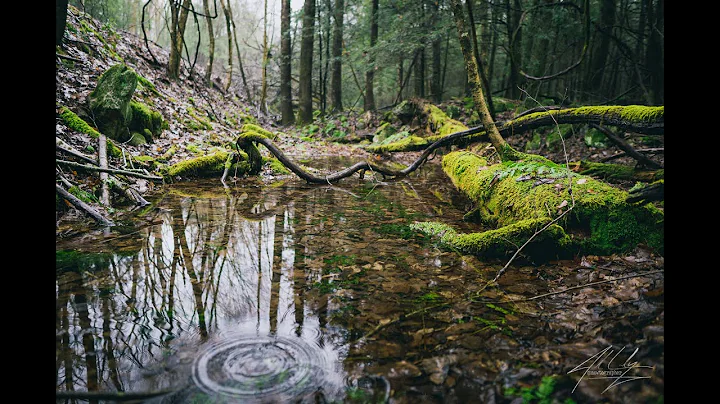 Social Distance Hiking How-To with Melissa Nicholson