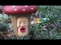 「食玩」へんしんこびとづかん ベニキノコビト