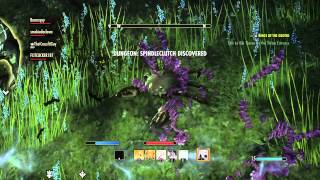 The Elder Scrolls Online Tamriel Unlimited - Defeating Kragh The Dreugh King Fungal Grotto
