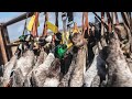 Waterfowl Hunting Kansas: "1 Time" - Fowled Reality