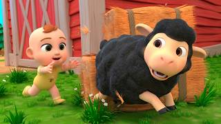 [Mix] Who is Hiding in the Barn? | Kids Songs