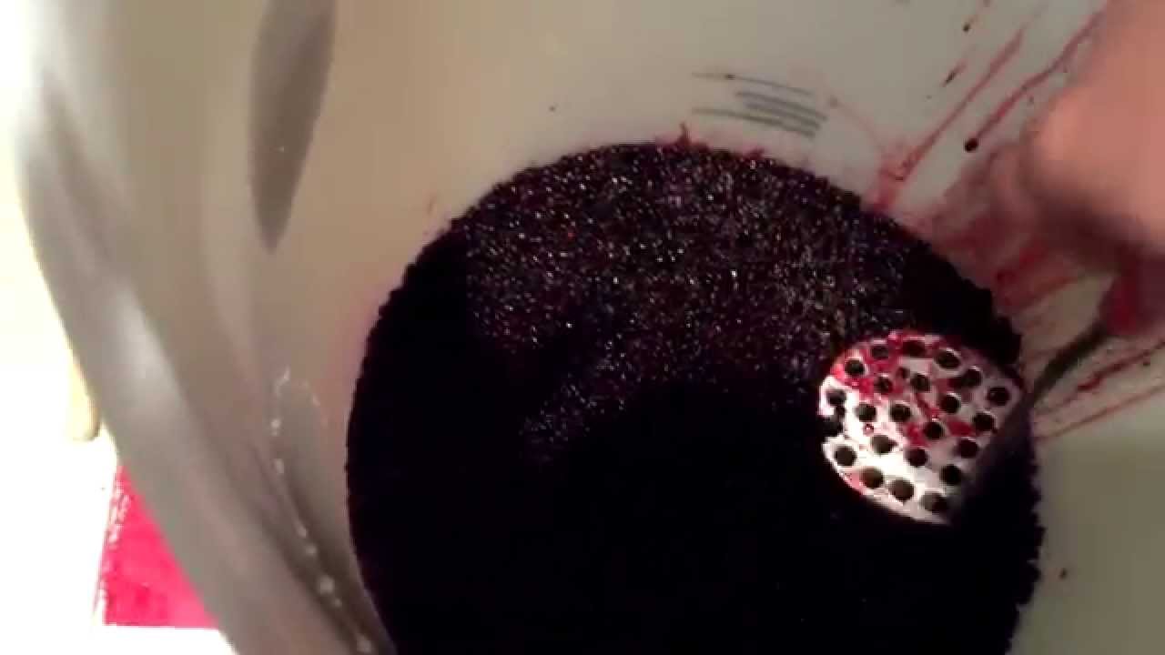 Making Elderberry Wine Part 1 Primary Fermentation