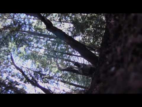 Mark Weir Teaser