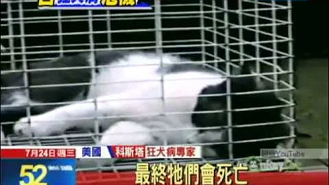 20130724中天新闻　恐怖！猫狗若得狂犬病　小可爱变猛兽 - 天天要闻