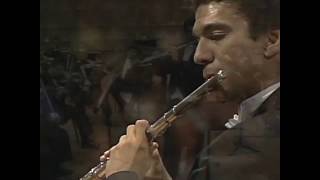 CPE Bach Flute Concerto in D Minor (Movimiento 2) - Huascar Barradas