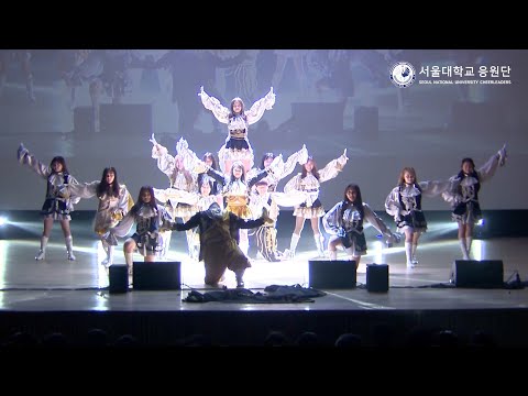 2021 대한민국 청년의날 치어리딩 페스티벌 참가팀 영상(서울대학교 응원단)