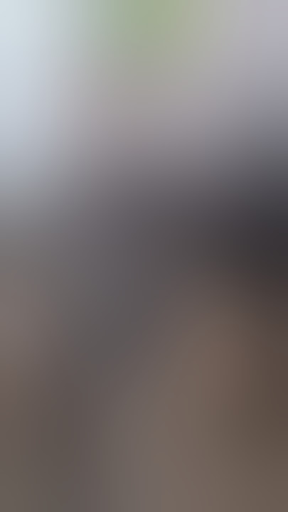 #superbullmating #buffalomating #murrahbull #heaviestbull #superbull #tallestbull #shorts #short