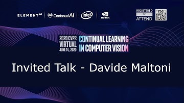 [CLVision @ CVPR2020] Invited Talk: "Real-Time CL from Short Videos" by Davide Maltoni