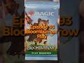 Ripping into Bloomburrow Play Booster #mtg #tcg #mtgcommunity  #cardgame #mtgcommander #packopening