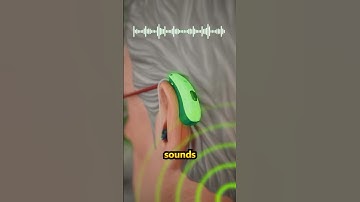 How Hearing Aids Actually Work