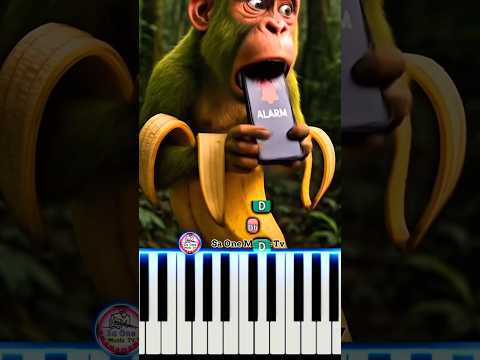 Ringtone Brr Brr Patapim Piano Brainrot Italianbrainrot Brrbrrpatapim