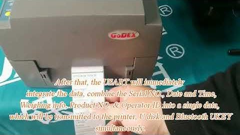 Jadever JIK6 weighing indicator Scaning & Weighing mp4