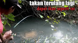 REKOR BARU MANCING DI SUNGAI HITAM