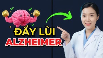 Luyện Não Mỗi Ngày: 4 Bài Tập Trí Nhớ Đơn Giản Giúp Đẩy Lùi Bệnh Lãng Quên (Alzheimer)